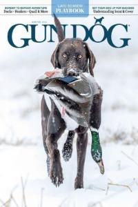 Gun Dog Winter 2024 FreeCourseWeb