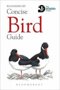Concise Bird Guide Bloomsbury Concise Guides CourseWikia