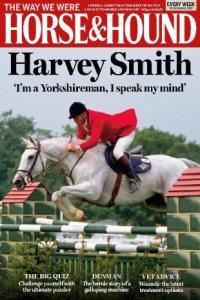 Horse Hound 29 December 2023 DevCourseWeb