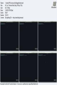 Advanced Angular Directives Course DevCourseWeb