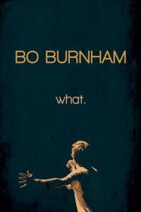 Bo Burnham What 2013 1080p NF WEBRip DD 2 0 x265 EDGE2020