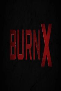 Burn X 2022 1080p x265 AAC MVGroup org mkv