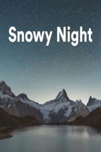 Various Artists Snowy Night 2023 Mp3 320kbps PMEDIA