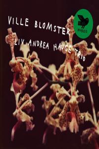 Liv Andrea Hauge Trio Ville Blomster 2024 24Bit 44 1kHz FLAC PMEDIA