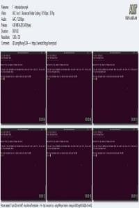 Virtual Embedded Linux Board DevCourseWeb