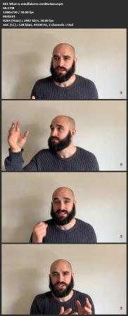 7 Day Mindfulness Meditation Challenge CourseWikia