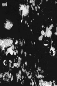 Terrace Martin sneek 2023 Mp3 320kbps PMEDIA