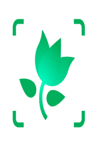 PictureThis Plant Identifier v3 70 Gold Unlocked Apk APKSOUP