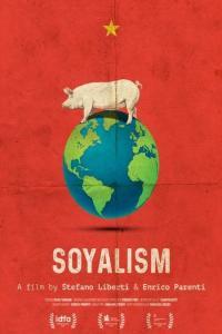 Soyalism 1080p HDTV x265 AAC MVGroup org mkv