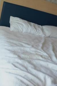 WhoaBoyz 22 08 22 Curly Rican XXX 720p HD WEBRip x264 TGxXX XvX