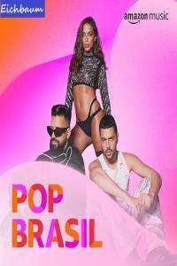 VA Pop Brasil 08 04 2024 Hi Res 2024 WEB FLAC 24BIT 44 1khz EICHBAUM