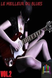 VA LE MEILLEUR DU BLUES VOL 2 2024 WEB FLAC 16BITS 44 1KHZ EICHBAUM