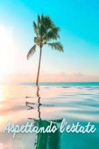 VA Aspettando l estate 2024 WEB FLAC 16BITS 44 1KHZ EICHBAUM