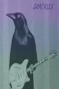 BLUES Grackles Grackles 2024 WEB FLAC 24BITS 44 1KHZ EICHBAUM