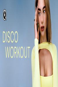 V A Disco Workout 2024 Pop Rock Elettronica Flac 16 44