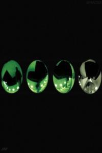 Navi99 Diffraction 2024 Mp3 320kbps PMEDIA