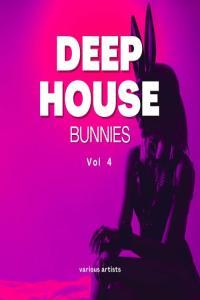 VA Deep House Bunnies Vol 4 2024 Mp3 320kbps PMEDIA