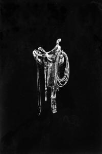 Corb Lund El Viejo 2024 24Bit 48kHz FLAC PMEDIA