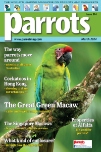 Parrots Magazine 2024 March PDF