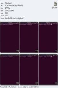 Virtual Embedded Linux Board Part 2 DevCourseWeb