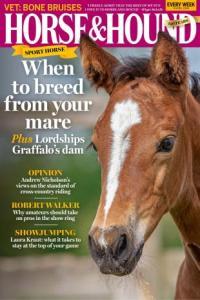 Horse Hound 4 April 2024 DevCourseWeb