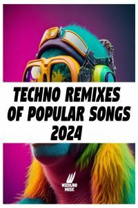 ELECTRO DANCE Mister Mijaga Techno Remixes of Popular Songs 2024 2024 WEB mp3 320kbps EICH