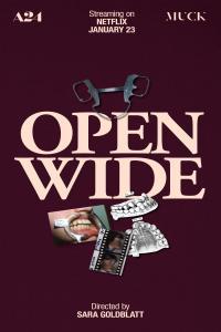 Open Wide 2024 1080p WEBRip x265 10bit AAC5 1 YTS MX