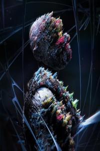 Windwaker HYPERVIOLENCE 2024 Mp3 320kbps PMEDIA