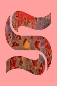 Joe Goddard Neptunes EP 2024 Mp3 320kbps PMEDIA