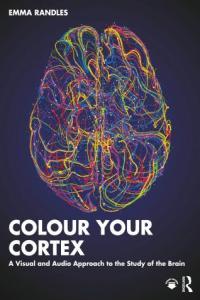 Colour Your Cortex A Visual and Audio Approach to the Study of
