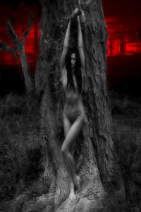 QueenSnake E01 708 SiteRip XXX 1080p HEVC GhostFreakXX