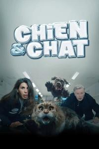 Cat Dog 2024 iTA FRE Bluray 1080p x264 Dr4gon mkv