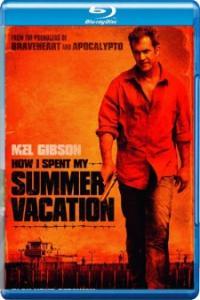 How I Spent My Summer Vacation Get the Gringo 2012 1080p BluRay HEVC x265 5 1 BONE