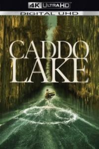 Caddo Lake 2024 4K HDR DV 2160p WEBDL Eng Sub Ita x265 NAHOM