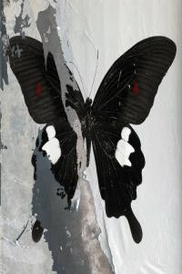 Death Cult Paradise Now 2024 Mp3 320kbps PMEDIA