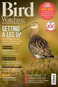 Bird Watching UK June 2024