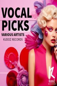 NU DISCO VA Vocal PIcks 2024 FLAC 16BITS 44 1KHZ EICHBAUM