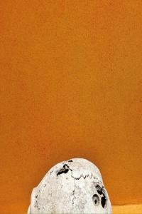 Skee Mask Resort 2024 24Bit 44 1kHz FLAC PMEDIA