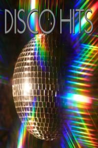 Various Artists Disco Hits 2024 WEB FLAC 16BITS 44 1KHZ EICHBAUM