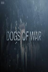 BBC Storyville 2024 Dogs of War 1080p x265 AAC MVGroup org mkv