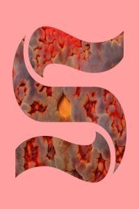 Joe Goddard Neptunes EP 2024 24Bit 44 1kHz FLAC PMEDIA