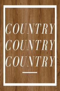 Various Artists Country Country Country 2024 Mp3 320kbps PMEDIA