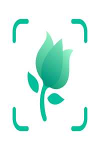 PictureThis Plant Identifier v4 0 1 Premium Cracked APK AppDoz