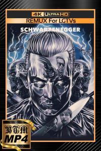Terminator 2 Judgment Day 1991 THEATRICAL 2160p BluRay DV HDR MULTi DDP 5 1 H265 MP4 BEN THE MEN