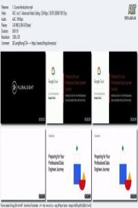 Preparing for your Professional Data Engineer Journey DevCourseWeb