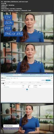 Complete Guide to Data Lakes and Lakehouses DevCourseWeb