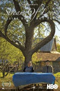 Stream of Love 2013 1080p WEBRip AAC5 1 YTS