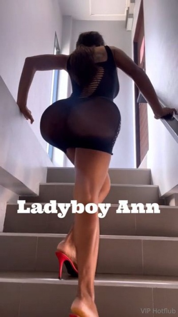 OnlyFans Ladyboy Ann Hotflub