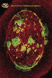 311 From Chaos FLAC 16BITS 44 1KHZ EICHBAUM