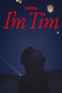 Avicii Im Tim 2024 1080p NF WEB DL DDP5 1 H264 FHC mkv